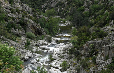 corses...torrent
