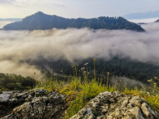 Beautiful panorama of the mountains in the fog, the river and the forest