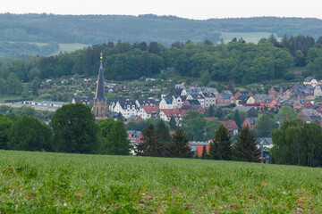 Blick über die Stadt Lengenfeld im Vogtland, Sachsen