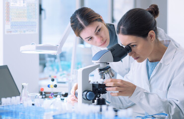 Young researchers working together in the lab