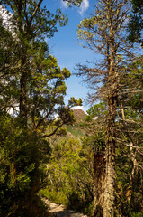 Fototapeta premium cradle mountain tasmania