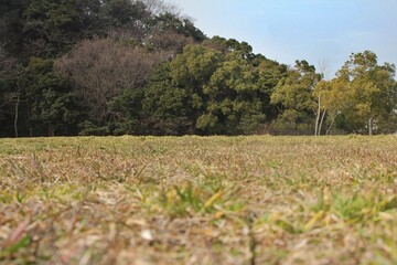 草原の広場