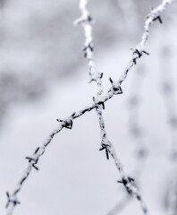 barbed wire fence covered with snow