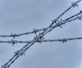 barbed wire fence covered with snow