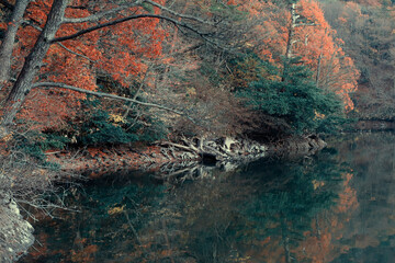 Mount Daisen ( Daisen-Oki National Park )