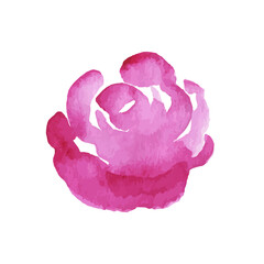 Flower icons isolated on white background. Logo sign design. Modern brush watercolor illustration. Vector
