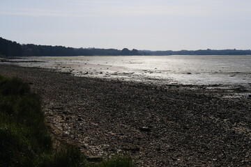 The Morbihan gulf at low tide during spring.