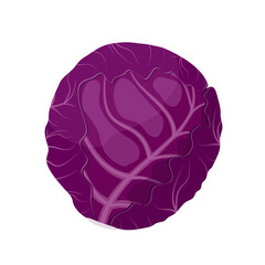 Red cabbage, flat style vector illustration isolated on white background