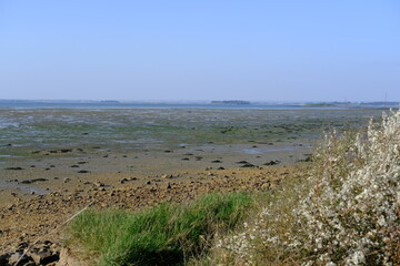 The Morbihan gulf at low tide. March 2022, France.