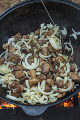 street lighting. fire. a cooking pot. meat is fried. close-up