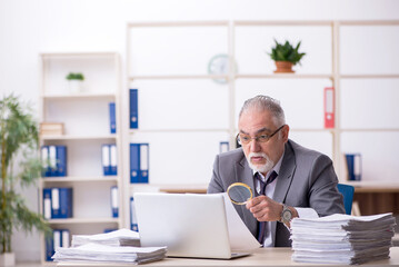 Old male auditor working in the office