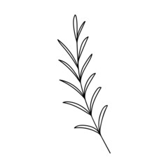 Hand drawn plant element, twig, grass isolated on a white background. Doodle, simple outline illustration. It can be used for decoration of textile, paper.