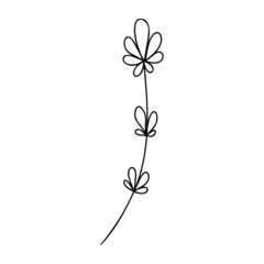 Hand drawn plant element, twig, grass isolated on a white background. Doodle, simple outline illustration. It can be used for decoration of textile, paper.