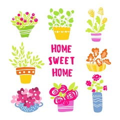 Flower pot set. A cute flowers in vases. Domestic plant
