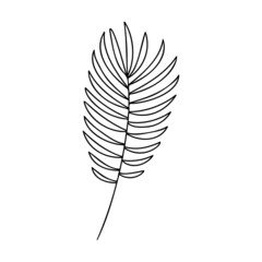 Hand drawn plant element, twig, grass isolated on a white background. Doodle, simple outline illustration. It can be used for decoration of textile, paper.