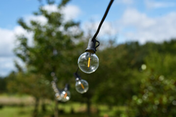 Fototapeta premium guirlande d'ampoules dans le jardin
