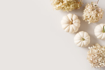 White pumpkins and flowers, holidays and halloween concept, monochrome mock up background