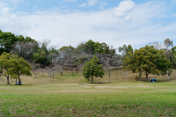 緑の公園