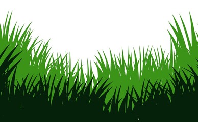 Grass. Nature rural landscape. Pasture overgrown. Overgrown dense lawn. Isolated on white background. Vector