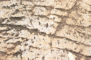 beautiful patterned stone floor was eroded by water and wind.