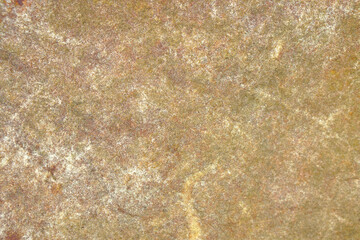 beautiful patterned stone floor was eroded by water and wind.