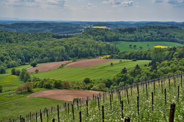 Fototapeta na wymiar Kraichgau landscape, the Toscana of Germany, view over Eichelberg, Oestringen in May
