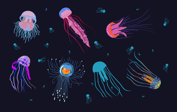 Set of Ocean jellyfish on a dark blue background. Beautiful marine coelenterates with a jelly-like bell, transparent and colorful marine life. Vector illustration.