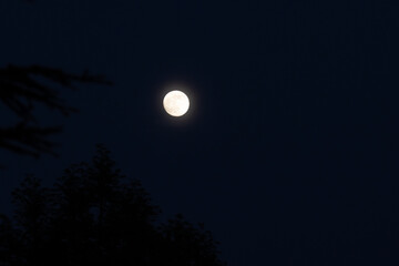 Moon Light