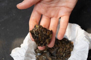 Luxury tea in paper with female hands on a dark vintage background. Tea ceremony concept