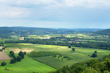 Obraz premium paysage champs