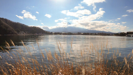 An idyllic view on Mt Fuji from the side of Kawaguchiko Lake, Japan. The mountain is surrounded by clouds. Dried, golden grass on the shore of the lake. Serenity and calmness. Few ducks on the lake