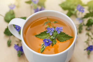 Herbal Tea from Veronica Chamaedrys for Herbal Medicine. Wild Herbal Teas