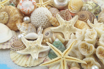 Fototapeta na wymiar Tropical seashells with starfishes, pearls and corals close-up
