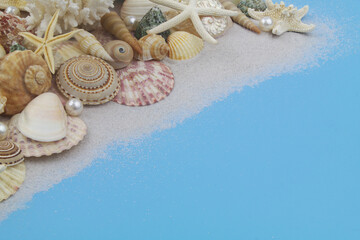 Obraz na płótnie Canvas Colorful seashells with coral, pearls and starfishes on blue background. Copy space for text.