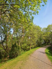 path in the park