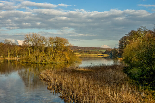 Sculpture Park Lake West Bretton near Wakefield in winter afternoon sunshine