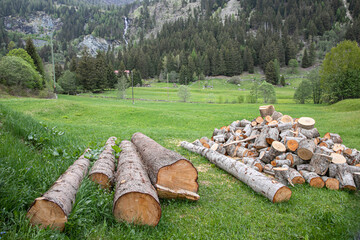 Winter preparation. Stacking Firewood. Pile of firewood loggs. Firewood background. Dry chopped...