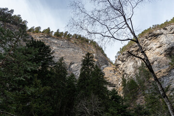 Alpine scenery at the Viamala canyon in Grison in Switzerland