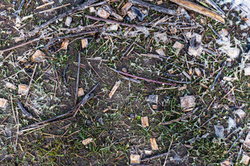 texture of dirty earth with branches, grass and foam after flooding