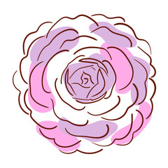 Flower camellia line art in minimalism style
