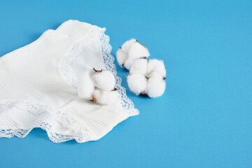 Obraz premium woman pants and cotton flowers on blue background copy space