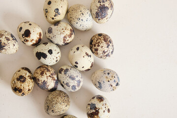 quail eggs on light texture background copy space
