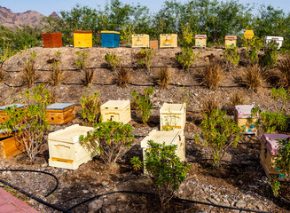 Old bee hives in mountainous area. Nature