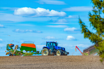  A tractor with a seeder sows grains of wheat or oats in the spring in a field for growing grain...