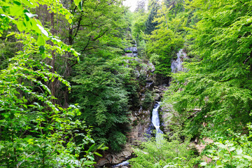 Resov waterfalls on the river Huntava in the Czech Republic