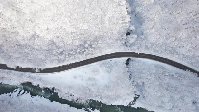 Aerial top down cinematic winter snow cowered country road, asphalt serpentine. Cars go traffic among forest.