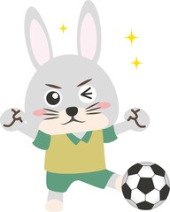 Fototapeta na wymiar うさぎ　兎　卯年　動物　スポーツ　サッカー　ボール