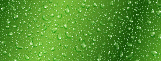 Fototapeta na wymiar Background of small realistic water drops in green colors
