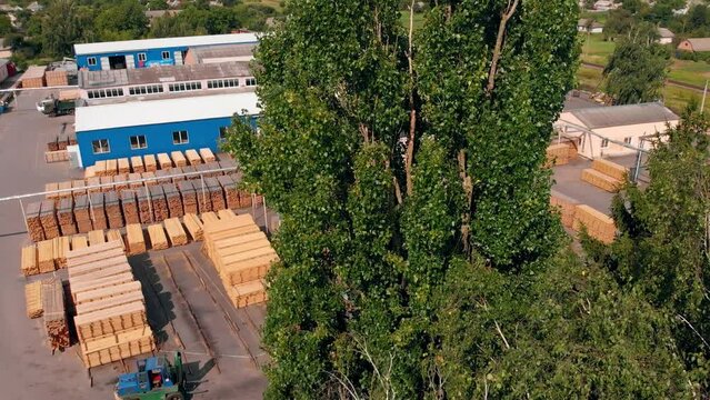 Wooden planks stored in piles at the territory of modern plant. Warehouses for storing and processing wood and manufacturing doors.