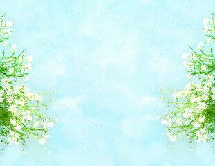White wildflowers on blue background. Summer background. Creative copy space for positive mood.